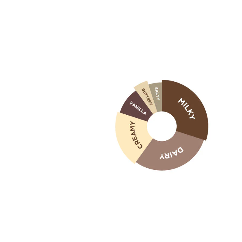 WHITE CHOCOLATE SYRUP 750ML (#66707) - Image 2
