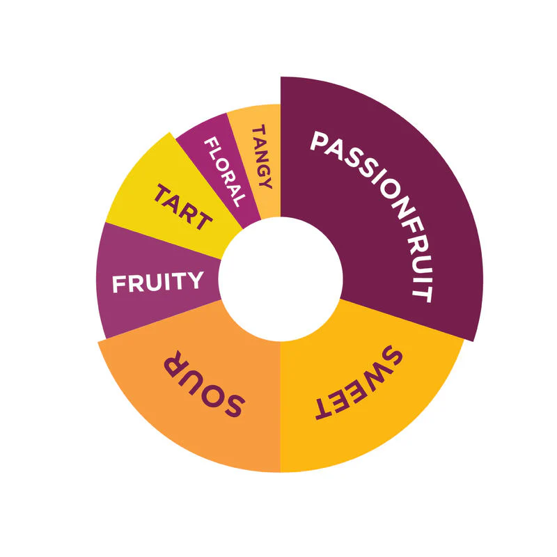 PASSIONFRUIT FRUIT MIX 1L (#68012) - Image 3