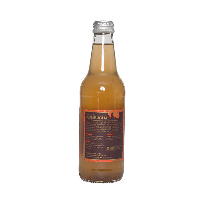 GINGER KOMBUCHA 330ML (#81570) - Image 2