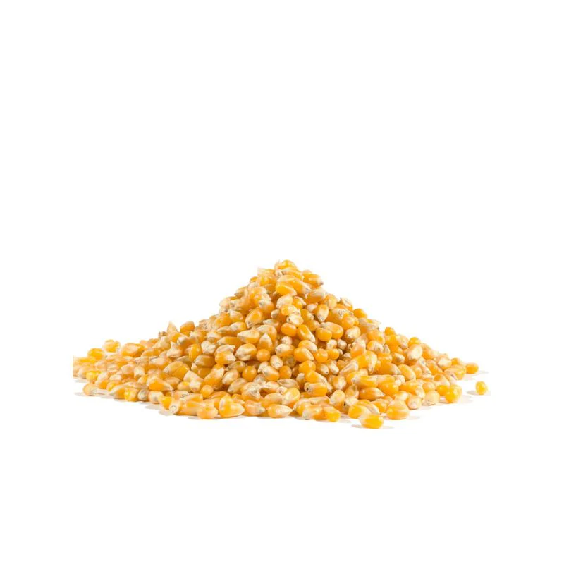 POPCORN YELLOW 30OZ (#100498) - Image 4