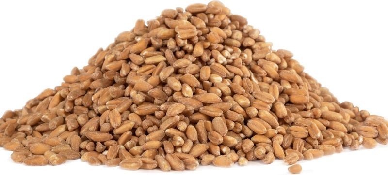 FARRO ORG/BOB'S RED MILL 24OZ (#103658) - Image 3