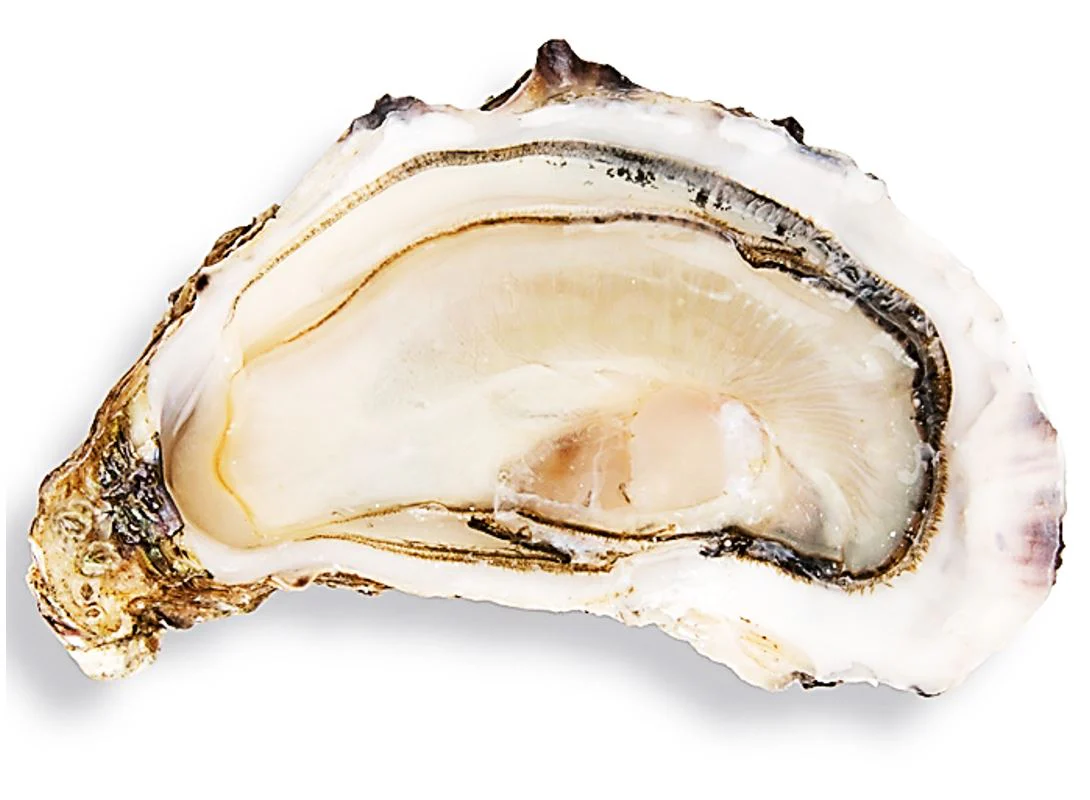 FINES DE CLAIRE OYSTERS MARENNES OLERON NO3 36PC (#000000000000127999)