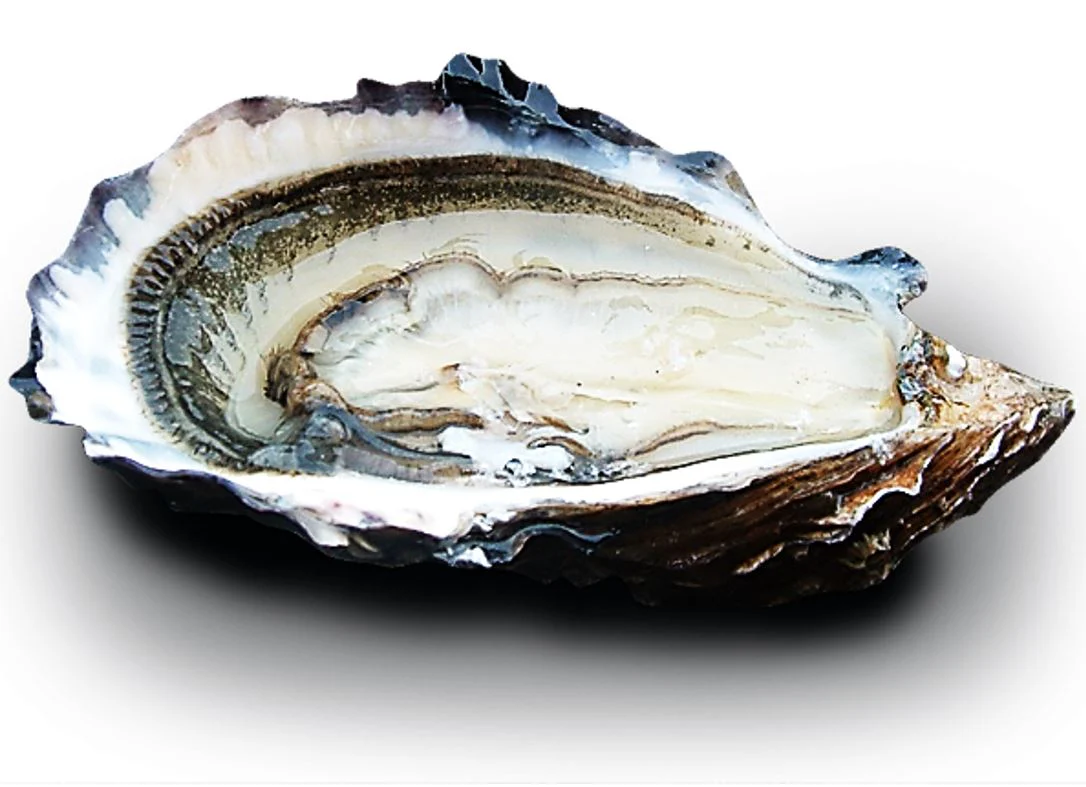 SPECIALES CANCALE OYSTERS NO3X24P 24PC (#128000)